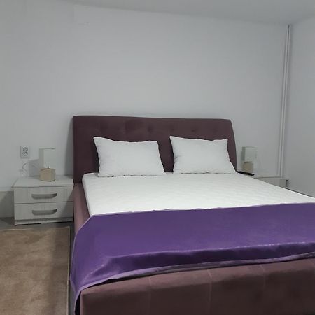 Apartament Magnolia Nearby City Center With Parking Sibiu Exterior photo